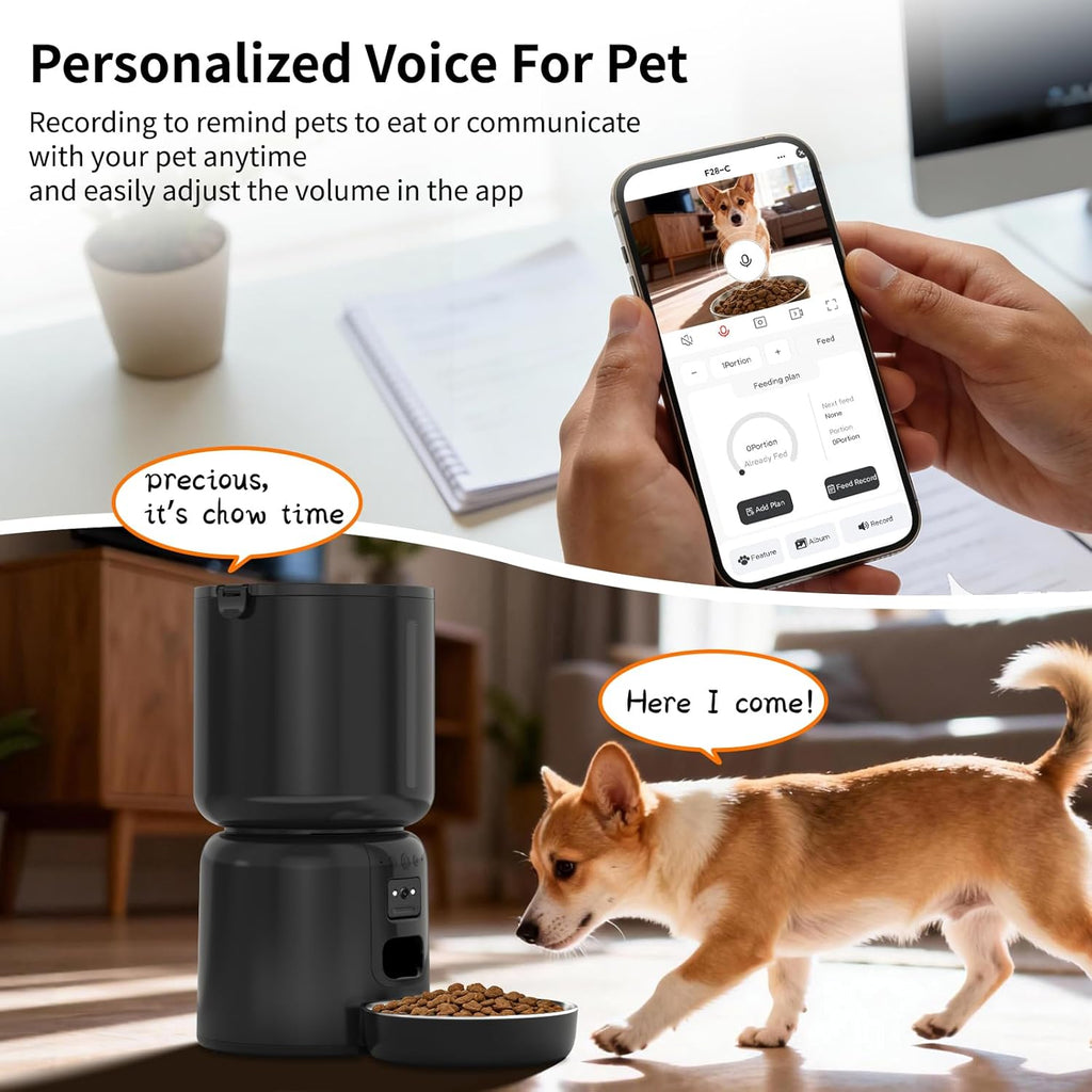 Automatic Cat Feeder and Waterer Set App Control Feeder with Camera and Fountain